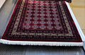 red Afghan floor rug